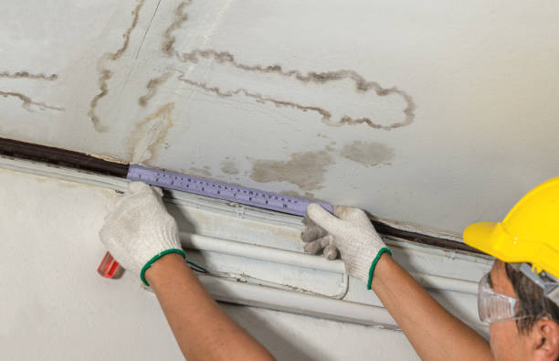 Reliable Water Damage Repair contractor in Santa Ana, CA by Hirex Water Damage